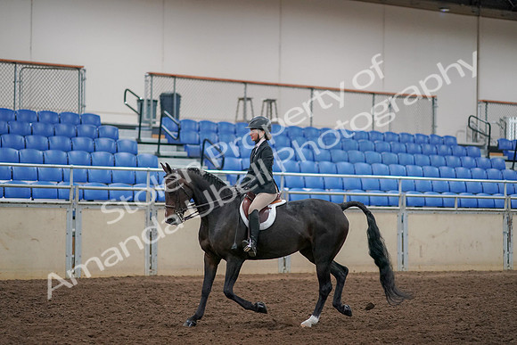 2019 Morgan Horse Show - Aug 30, 2019 - 12128