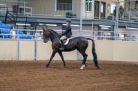 2020 - AB Morgan Horse - Fri, Sept 04 - 01988