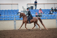2019 Morgan Horse Show - Aug 31, 2019 - 12183