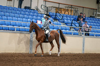 2020 - AB Morgan Horse - Fri, Sept 04 - 02948