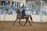 2020 - AB Morgan Horse - Sat, Sept 05 - 07894