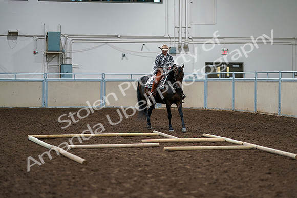 2020 - AB Morgan Horse - Fri, Sept 04 - 00365