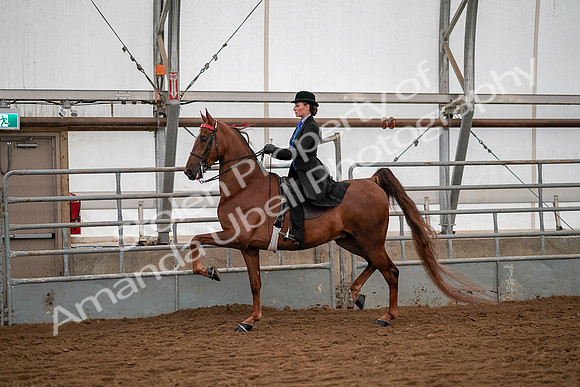 July 19, 2019 - 10474