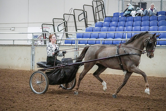 Spring Fling - Saturday - April 20, 2019  -  00293