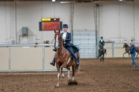2020 - AB Morgan Horse - Sat, Sept 05 - 11359