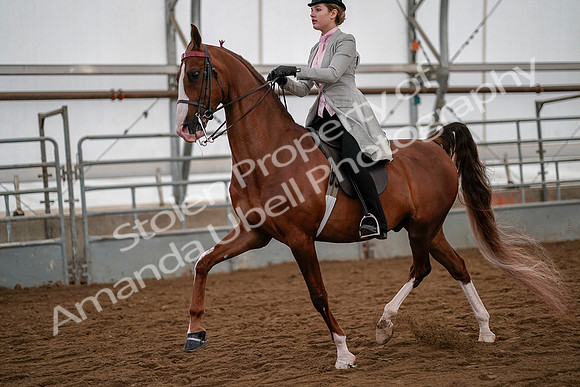 July 19, 2019 - 10566