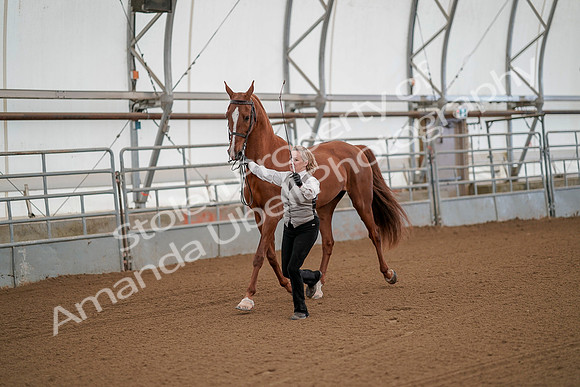 July 19, 2019 - 68