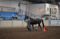 2019 Morgan Horse Show - Aug 31, 2019 - 02106