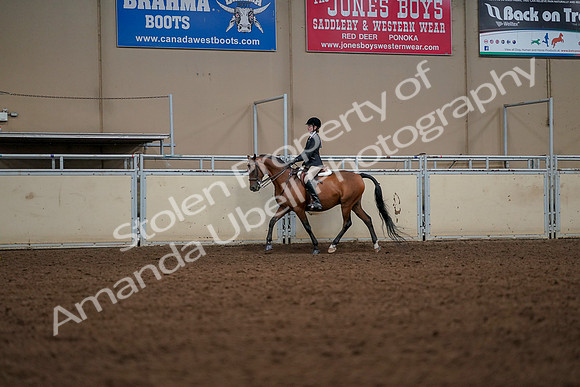 2019 Morgan Horse Show - Aug 30, 2019 - 23269