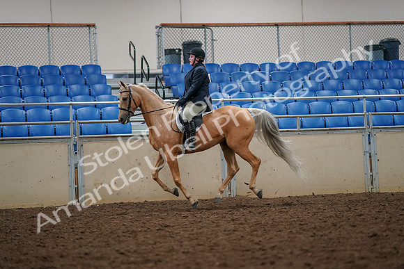 2019 Morgan Horse Show - Aug 30, 2019 - 22367
