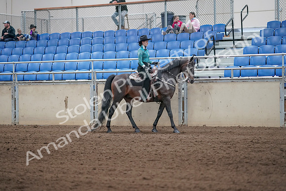 2019 Morgan Horse Show - Sept 01, 2019 - 07105