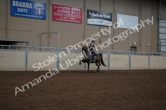 2019 Morgan Horse Show - Aug 30, 2019 - 28285
