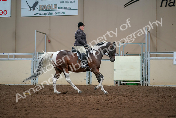 2019 Morgan Horse Show - Aug 30, 2019 - 22583