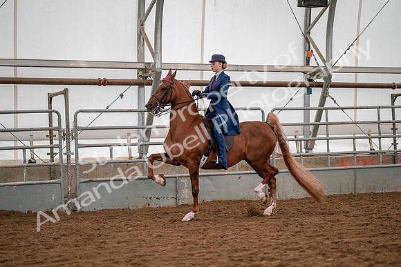July 19, 2019 - 10359