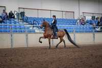 2019 Morgan Horse Show - Aug 31, 2019 - 19908
