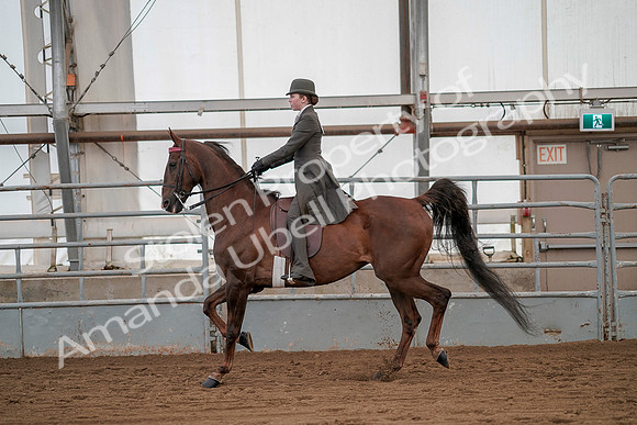 July 20, 2019 - 02032