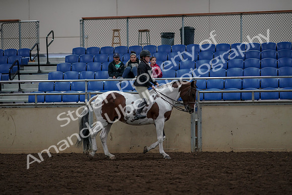 2019 Morgan Horse Show - Aug 30, 2019 - 31415