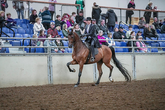 Spring Fling - Saturday - April 20, 2019  -  00637