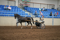 2020 - AB Morgan Horse - Sat, Sept 05 - 05849