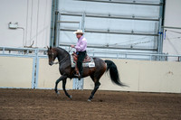 2020 - AB Morgan Horse - Fri, Sept 04 - 00540
