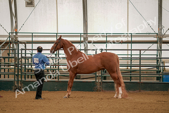 July 19, 2019 - 103