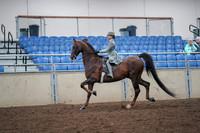 2019 Morgan Horse Show - Aug 30, 2019 - 17785