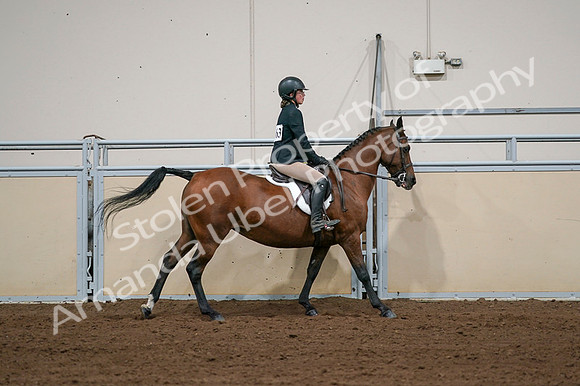 2020 - AB Morgan Horse - Fri, Sept 04 - 02103