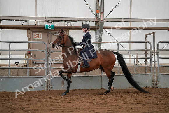 July 19, 2019 - 3809