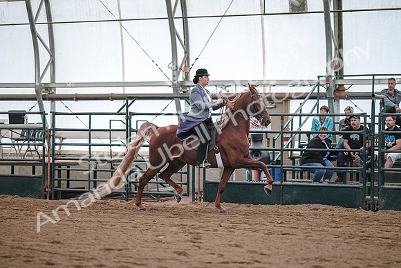 July 20, 2019 - 17135