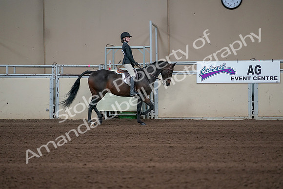 2019 Morgan Horse Show - Sept 01, 2019 - 03800