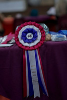 2019 Morgan Horse Show - Sept 01, 2019 - 00001