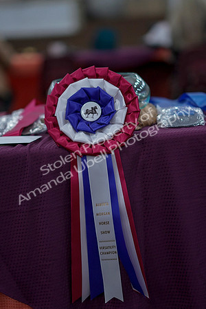 2019 Morgan Horse Show - Sept 01, 2019 - 00001