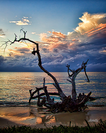 Jamaica - 017