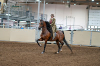 2020 - AB Morgan Horse - Sat, Sept 05 - 05267