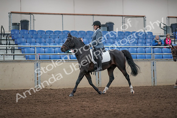 2019 Morgan Horse Show - Aug 31, 2019 - 07238