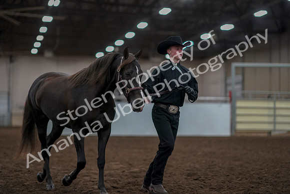 2019 Morgan Horse Show - Aug 31, 2019 - 01914