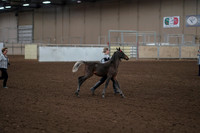 2019 Morgan Horse Show - Aug 31, 2019 - 00200