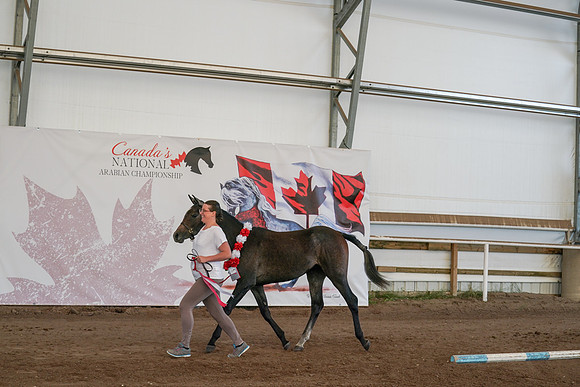 2022 - CNAC - Sept 27 - 01300