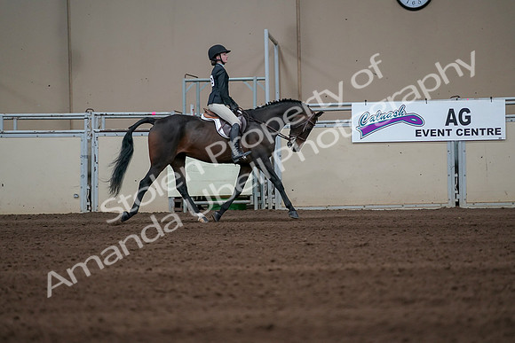 2019 Morgan Horse Show - Sept 01, 2019 - 03870