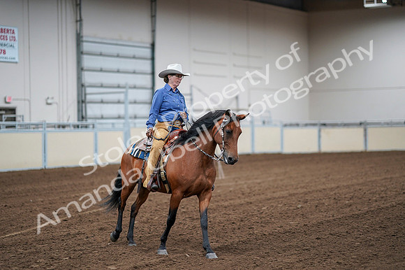 2020 - AB Morgan Horse - Fri, Sept 04 - 00013
