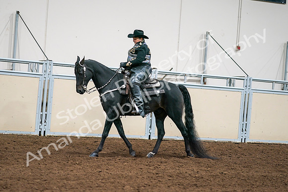 2020 - AB Morgan Horse - Sat, Sept 05 - 08900