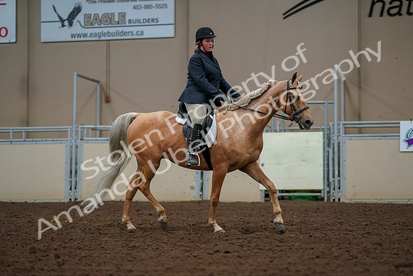 2019 Morgan Horse Show - Aug 30, 2019 - 22621