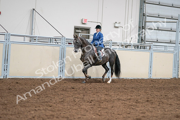 2020 - AB Morgan Horse - Sat, Sept 05 - 04985