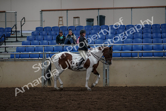 2019 Morgan Horse Show - Aug 30, 2019 - 31417