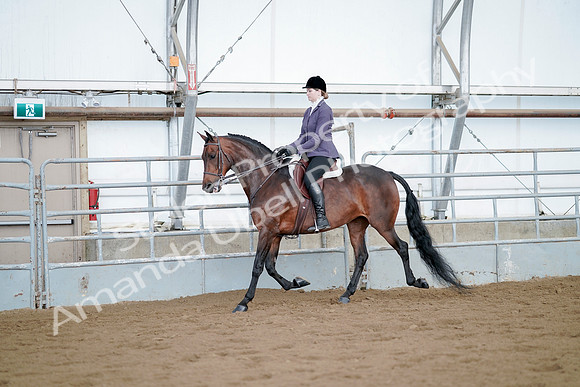 July 21, 2019 - 03105