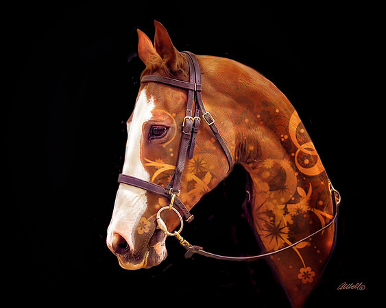 Arabians - 198