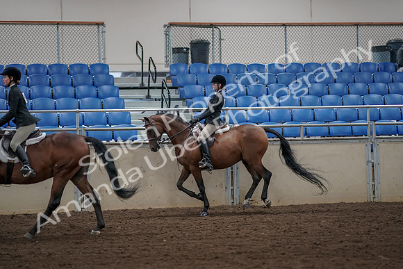 2019 Morgan Horse Show - Aug 31, 2019 - 05107
