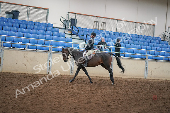 2019 Morgan Horse Show - Aug 30, 2019 - 12295