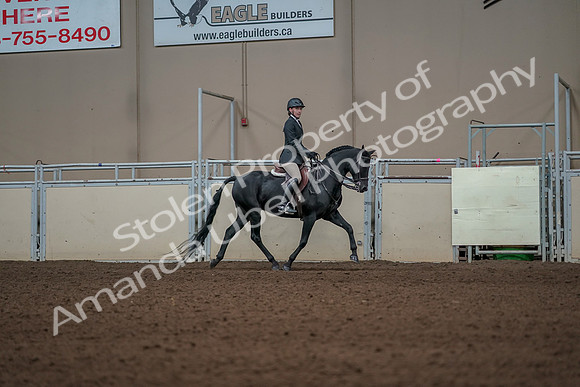 2019 Morgan Horse Show - Aug 31, 2019 - 05171