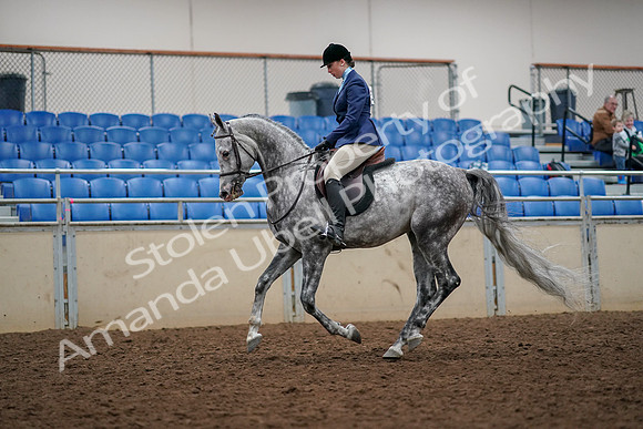 2019 Morgan Horse Show - Aug 30, 2019 - 22343